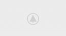 wood-gallery-placeholder-3 wood-gallery-placeholder-3
